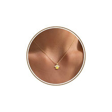 Load image into Gallery viewer, Best Gifts for Dog Lover, Gifts for Dog Owners 2025 Stocking Stuffers for Women Birthstone Necklace for Women Dainty Gold Necklace with Topaz November Birthday Gift for Her Heart Paw Christmas Gift