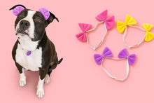 Load image into Gallery viewer, 3-Pack Double Bow Dog Headbands – Dog Hairbows with Double Band, Adjustable Pet Hair Accessories for Small & Medium Dogs, Cute Hair Bows for Daily Wear & Special Occasions