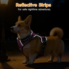 Load image into Gallery viewer, No Pull Dog Harness, No-Choke Soft Padded Reflective Dog Vest Harness with Front Clip & Top Handle, 2 Quick-Release Buckles, Adjustable for Small Medium Large Dogs