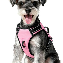 Load image into Gallery viewer, No Pull Dog Harness, No-Choke Soft Padded Reflective Dog Vest Harness with Front Clip & Top Handle, 2 Quick-Release Buckles, Adjustable for Small Medium Large Dogs