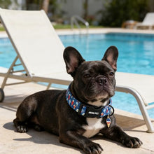 Load image into Gallery viewer, ARING PET Summer Dog Collar, Cute Blue Ice Pop Ice Cream 4th of July Pet Collars for Puppy Small Medium Large Female Girl Dogs-XS