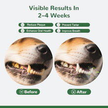 Load image into Gallery viewer, Vetriuntrix Dog Teeth Cleaning Powder, Dog Dental Powder for Tartar Remove & Plaque Off, Fresh Breath for Dogs with Natural Plants Extracts and Postbiotics, 80.1g