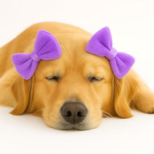 Load image into Gallery viewer, Dog Hair Bow 3 Pack – Double Bow Dog Headbands, Adjustable Hair Accessories for Small & Medium Dogs, Adjustable Pet Hair Accessories for Daily Wear & Special Occasions, Puppy Grooming Accessories