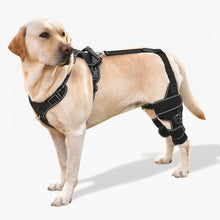Load image into Gallery viewer, FurWell Dog Knee Brace with Adjustable Support – ACL & CCL Tear Recovery, Post-Surgery Stabilization, Mobility Aid for Rear Legs – Includes Secure Chest Harness for Dogs(Both Legs,M)