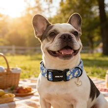 Load image into Gallery viewer, ARING PET Peace Dove Dog Collar, Cute Blue White Bird of Peace Pigeon Pet Collars for Puppy Small Medium Large Boy Girl Dogs-M, for Daily Outdoor Walking Training