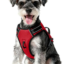 Load image into Gallery viewer, No Pull Dog Harness, No-Choke Soft Padded Reflective Dog Vest Harness with Front Clip & Top Handle, 2 Quick-Release Buckles, Adjustable for Small Medium Large Dogs