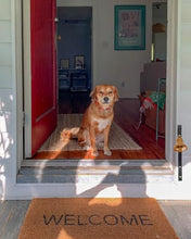 Load image into Gallery viewer, GoldTiger Fixed Metal Dog Doorbell for Potty Training - Heavy Duty Steel Wall Mounted Dog Bell for Door to Ring to Go Outside - Professional Puppy Housebreaking Communication Tool, No Snag (Black)