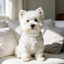 Load image into Gallery viewer, ARING PET Cute Dog Collar for Puppy Small Medium Large Dogs-Green Stripe S