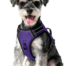 Load image into Gallery viewer, No Pull Dog Harness, No-Choke Soft Padded Reflective Dog Vest Harness with Front Clip & Top Handle, 2 Quick-Release Buckles, Adjustable for Small Medium Large Dogs