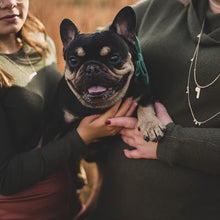 Load image into Gallery viewer, ARING PET Christmas Dog Collars with Bowtie, Cute Xmas Green Velvet Pet Bow Tie Collar with Metal Buckle for Puppy Small Medium Large Boy Girl Dogs-M
