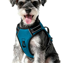 Load image into Gallery viewer, No Pull Dog Harness, No-Choke Soft Padded Reflective Dog Vest Harness with Front Clip & Top Handle, 2 Quick-Release Buckles, Adjustable for Small Medium Large Dogs
