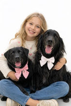 Load image into Gallery viewer, Dog Bow Collar 2 Pack – Soft Adjustable Puppy Collars with Removable Bell, Pink & White Cute Dog Collar for Small Medium Dogs, Boutique Pet Accessory for Daily Wear, Photos & Parties