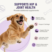 Load image into Gallery viewer, Joint Supplement for Dogs 200 ct, Glucosamine Chondroitin MSM for All Dogs