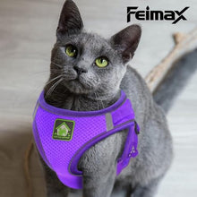 Load image into Gallery viewer, FEimaX Dog Harness and Leash Set, No-Pull Breathable Soft Mesh Puppy Vest Harness Reflective Adjustable Pet Harnesses for Small Medium Dogs and Cats - Outdoor Easy Control for Walking