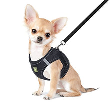 Load image into Gallery viewer, FEimaX Dog Harness and Leash Set, No Pull Breathable Soft Mesh Puppy Vest Harness Reflective Adjustable Pet Harnesses for Small Medium Dogs and Cats - Outdoor Easy Control for Walking