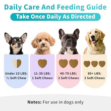 Load image into Gallery viewer, POPPAW Dog Allergy Relief Soft Chews - Immune Supplement for Seasonal Allergies - Support Paw Licking & Itch Relief, Skin & Gut Health with Probiotics, Omega-3 - Chicken Flavor, 90 Count