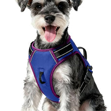 Load image into Gallery viewer, No Pull Dog Harness, No-Choke Soft Padded Reflective Dog Vest Harness with Front Clip & Top Handle, 2 Quick-Release Buckles, Adjustable for Small Medium Large Dogs