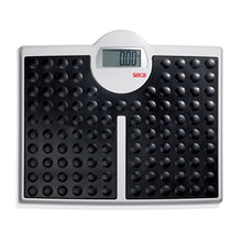 Load image into Gallery viewer, seca 813 - High Capacity Digital Flat Scale for Individual Patient use