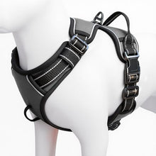 Load image into Gallery viewer, No Pull Dog Harness, No-Choke Soft Padded Reflective Dog Vest Harness with Front Clip & Top Handle, 2 Quick-Release Buckles, Adjustable for Small Medium Large Dogs