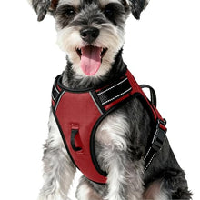 Load image into Gallery viewer, No Pull Dog Harness, No-Choke Soft Padded Reflective Dog Vest Harness with Front Clip & Top Handle, 2 Quick-Release Buckles, Adjustable for Small Medium Large Dogs