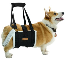 Load image into Gallery viewer, Dog Lift Harness Sling for Medium Dogs - Adjustable No-Slip Rear Leg Support with Padding & Back Fixed Buckle, Hip Dysplasia/ACL/TPLO Surgery Recovery Aid, Dog Sling for Injured,Disabled/Senior Dogs