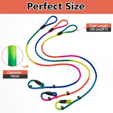 Load image into Gallery viewer, FOVRLZSE 3-Pack Rainbow Dog Slip Leads, 5FT Reflective Nylon, Multi-Color