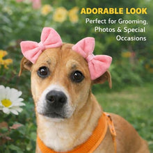 Load image into Gallery viewer, Dog Double Bow Headband Set of 3, Adjustable Elastic Dog Headbands for Small & Medium Dogs, Puppy Head Bows, Dog Hair Accessories for Grooming, Photos & Holiday Occasions