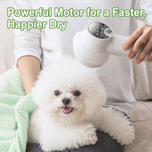 Load image into Gallery viewer, 3-in-1 Dog Hair Dryer Brush - Adjustable Temp (35°C-60°C) & 4 Speeds, One-Touch Hair Collection for Safe Grooming of Small & Medium Dogs Cats