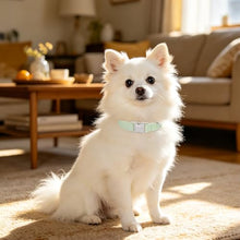 Load image into Gallery viewer, ARING PET Cute Dog Collar for Puppy Small Medium Large Dogs-Green Stripe S