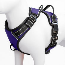 Load image into Gallery viewer, No Pull Dog Harness, No-Choke Soft Padded Reflective Dog Vest Harness with Front Clip & Top Handle, 2 Quick-Release Buckles, Adjustable for Small Medium Large Dogs