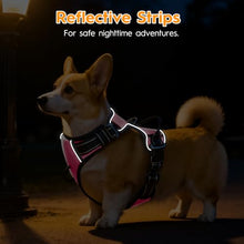 Load image into Gallery viewer, No Pull Dog Harness, No-Choke Soft Padded Reflective Dog Vest Harness with Front Clip & Top Handle, 2 Quick-Release Buckles, Adjustable for Small Medium Large Dogs