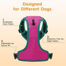Load image into Gallery viewer, No Pull Dog Harness, No-Choke Soft Padded Reflective Dog Vest Harness with Front Clip & Top Handle, 2 Quick-Release Buckles, Adjustable for Small Medium Large Dogs
