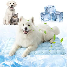 Load image into Gallery viewer, YAUNJI Dog Cooling Eco-Friendly Mat, 2026 New Portable Pet Cooling Pad for Dogs Cats Sleeping Mat for Home Outdoor, Washable Dog Water Bed for Bored Indoor Summer (Blue, Medium)