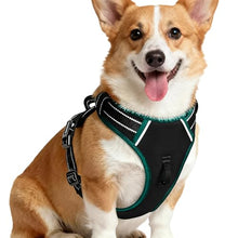 Load image into Gallery viewer, No Pull Dog Harness, No-Choke Soft Padded Reflective Dog Vest Harness with Front Clip & Top Handle, 2 Quick-Release Buckles, Adjustable for Small Medium Large Dogs