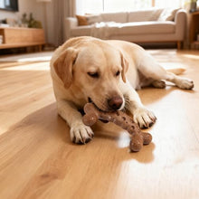 Load image into Gallery viewer, JoviQ Tough Dog Chew Bone Toy for Aggressive Chewers Medium Large Breed
