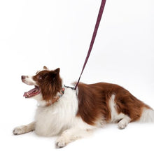 Load image into Gallery viewer, Soft Leather 4ft Dog Collar and Leash Set,Stylish 4ft PU Leather Dog Training Leash, Adjustable Durable Pet Collars with Quick Release Buckle for Large Dogs,Medium Dogs,Terracotta (red-Brown, 4 feet)