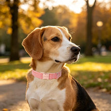 Load image into Gallery viewer, ARING PET Cute Dog Collar for Puppy Small Medium Large Dogs-Red Stripe L