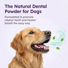 Load image into Gallery viewer, Dog Dental Powder for Teeth Cleaning - Dental Powder for Dogs Teeth – Prevent Dog Bad Breath with Probiotics for Fresh Breath & Oral Health – Chicken Flavored, 60 Scoop Supply