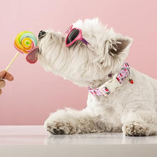 Load image into Gallery viewer, ARING PET Summer Dog Collar-Cute Pink Dog Collar for Small Dogs, Adjustable Strawberry Bees Print Pet Collars Puppy Collar for Small Medium Large Dogs