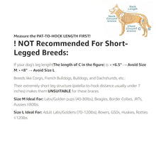 Load image into Gallery viewer, FurWell Dog Knee Brace with Adjustable Support – ACL & CCL Tear Recovery, Post-Surgery Stabilization, Mobility Aid for Rear Legs – Includes Secure Chest Harness for Dogs(Both Legs,M)