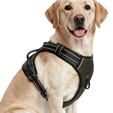 Load image into Gallery viewer, No Pull Dog Harness, No-Choke Soft Padded Reflective Dog Vest Harness with Front Clip & Top Handle, 2 Quick-Release Buckles, Adjustable for Small Medium Large Dogs