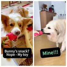 Load image into Gallery viewer, MewaJump Easter Toys Dog Squeaky Chew Toys for Aggressive Chewers, Rubber Carrot Dog Toys for Training and Cleaning, Durable Interactive Tough Dog Toy for Puppy Medium Dogs