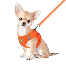 Load image into Gallery viewer, FEimaX Dog Harness and Leash Set, No Pull Breathable Soft Mesh Puppy Vest Harness Reflective Adjustable Pet Harnesses for Small Medium Dogs and Cats, Outdoor Easy Control for Walking