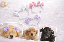 Load image into Gallery viewer, Dog Double Bow Headband Set of 3, Adjustable Elastic Dog Headbands for Small & Medium Dogs, Puppy Head Bows, Dog Hair Accessories for Grooming, Photos & Holiday Occasions
