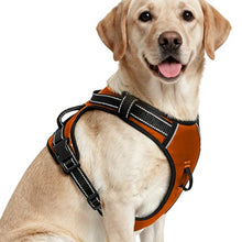 Load image into Gallery viewer, No Pull Dog Harness, No-Choke Soft Padded Reflective Dog Vest Harness with Front Clip & Top Handle, 2 Quick-Release Buckles, Adjustable for Small Medium Large Dogs