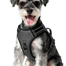 Load image into Gallery viewer, No Pull Dog Harness, No-Choke Soft Padded Reflective Dog Vest Harness with Front Clip & Top Handle, 2 Quick-Release Buckles, Adjustable for Small Medium Large Dogs