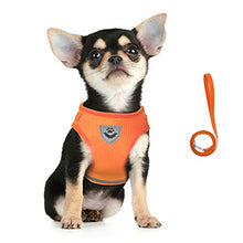 Load image into Gallery viewer, FEimaX Dog Harness and Leash Set for Walking, Soft Mesh Adjustable Easy Control Lightweight Cat Vest Harnesses with Reflective Strips, Escape Proof Small Dogs Cats Vests