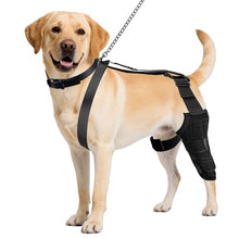 Load image into Gallery viewer, Dog Knee Brace for Back Leg, Adjustable Dog Leg Brace for Torn ACL Hind Leg Support, Joint Stability, Injury Recovery, Pain Relief, Dogs Rear Leg Wrap Harness Set with Collar and Leash (Medium)