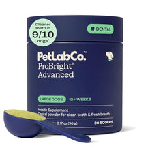 Load image into Gallery viewer, PetLab Co. ProBright Advanced Dental Powder - Dog Breath Freshener - Teeth Cleaning Made Easy – Targets Tartar & Bad Breath - Packaging May Vary - Formulated for Large Dogs