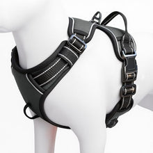Load image into Gallery viewer, No Pull Dog Harness, No-Choke Soft Padded Reflective Dog Vest Harness with Front Clip & Top Handle, 2 Quick-Release Buckles, Adjustable for Small Medium Large Dogs